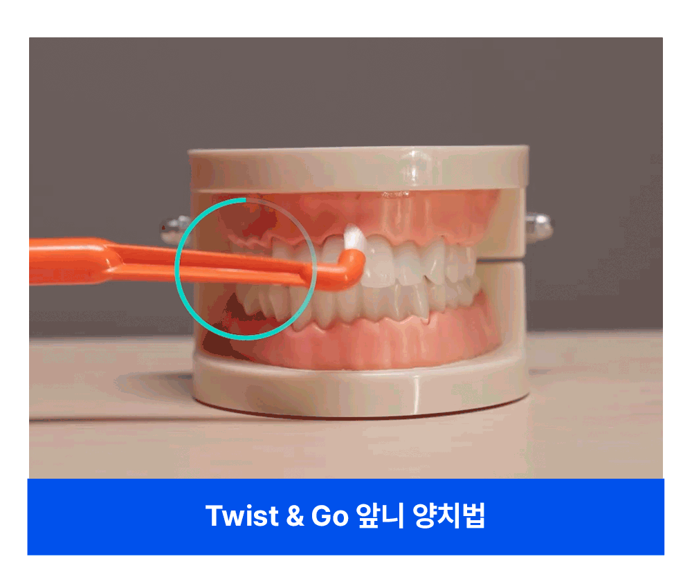 9-1. 양치법.gif
